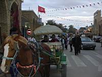 CIMG3548.JPG
